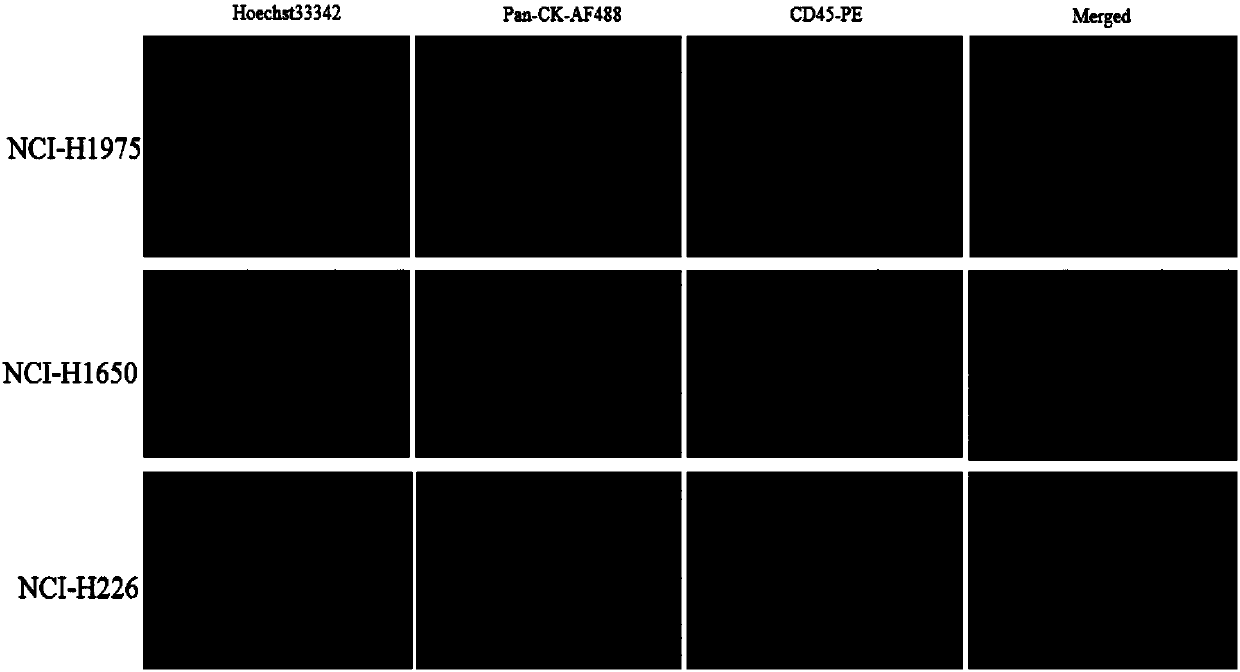 Detection kit and detection method of circulating tumor cells