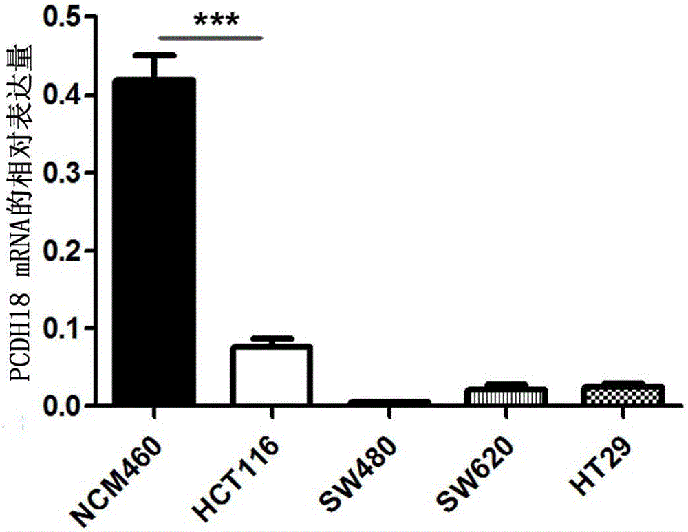 Application of PCDH18 gene to preparation of colorectal cancer diagnosis kit and kit