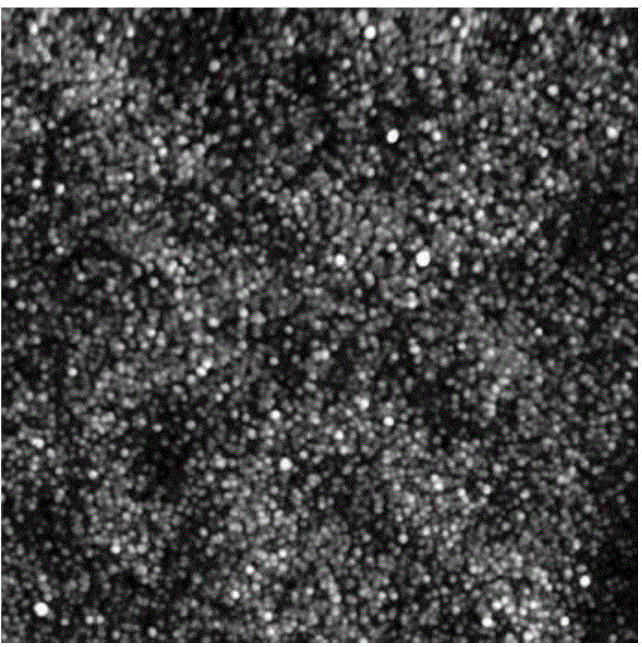 Nanofiltration membrane for seawater desalination and preparation method thereof