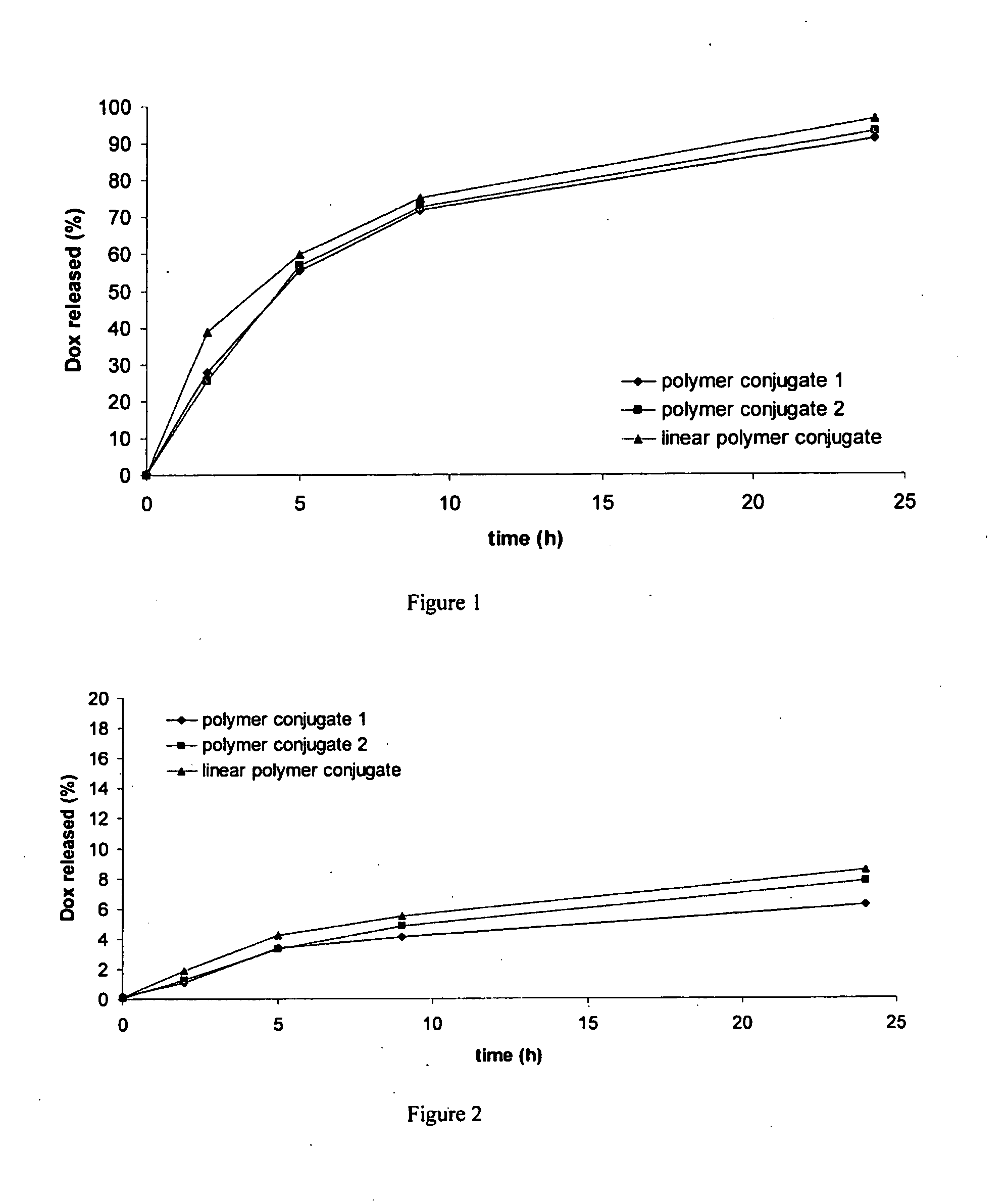 Dendritic High-molecular-weight Polymer Drug Carriers and Their Conjugates with Drugs Especially for Treatment of Solid Tumours