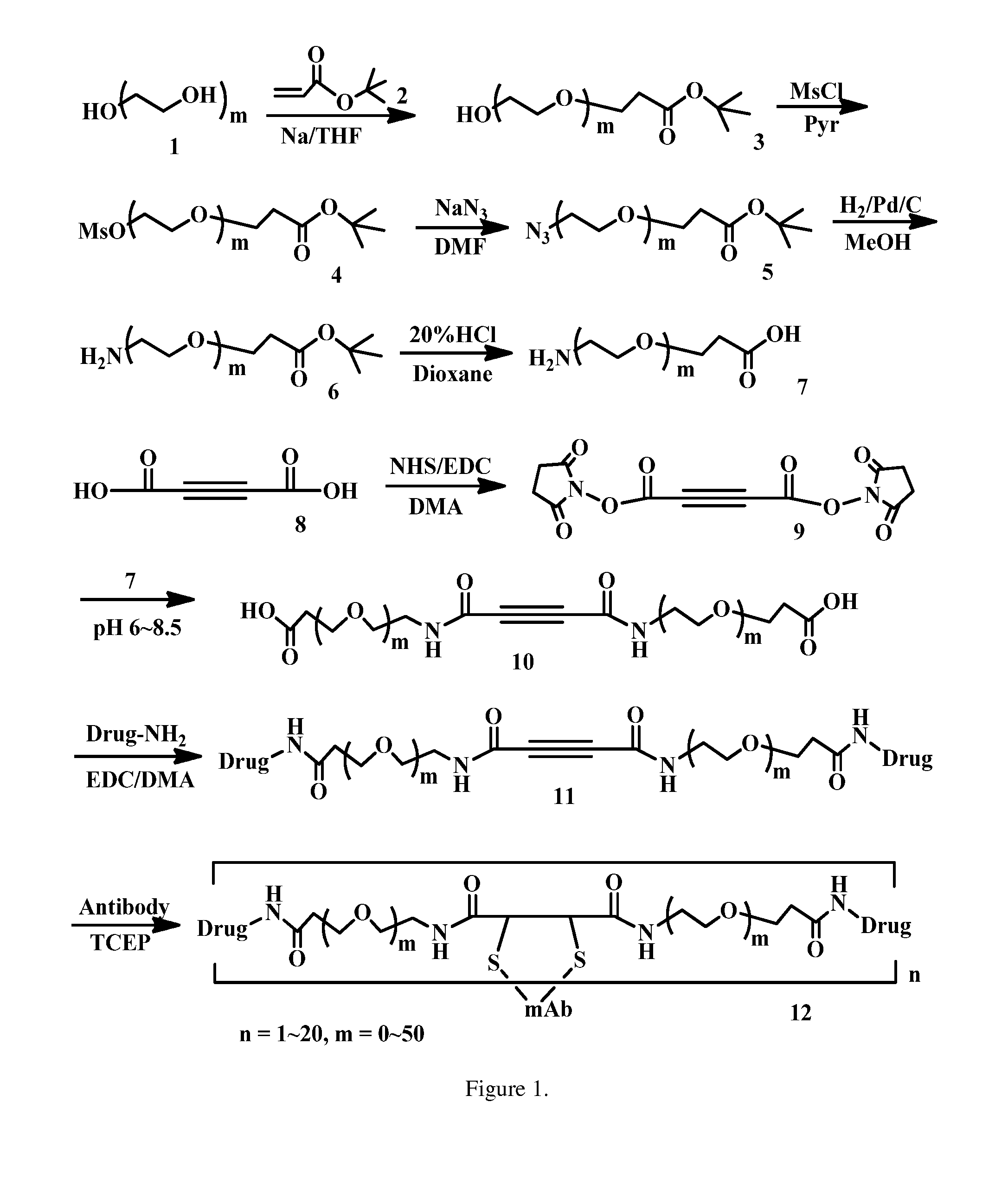 Acetylenedicarboxyl linkers and their uses in specific conjugation of a cell-binding molecule