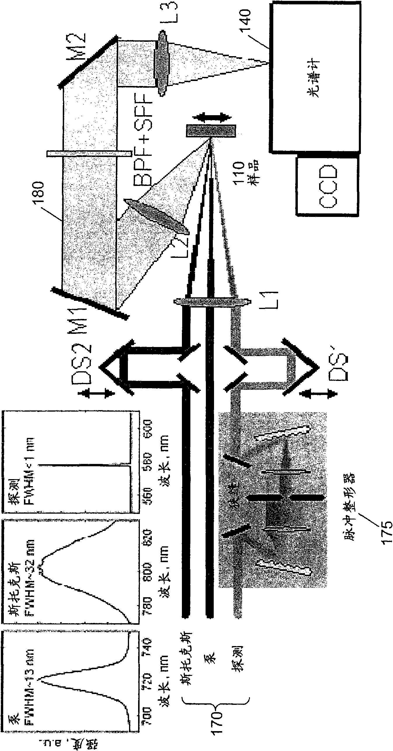 Use of quantum system identification and quantum control techniques for medical diagnostic and therapeutic purposes