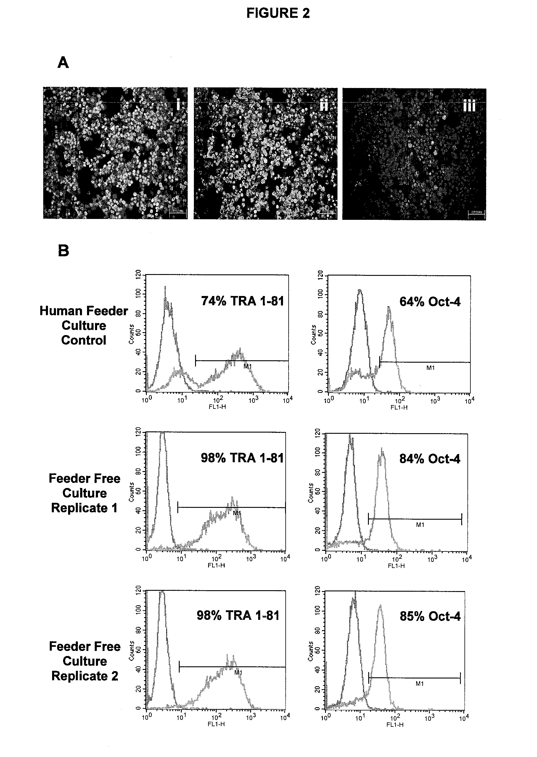 Method for stem cell culture and cells derived therefrom