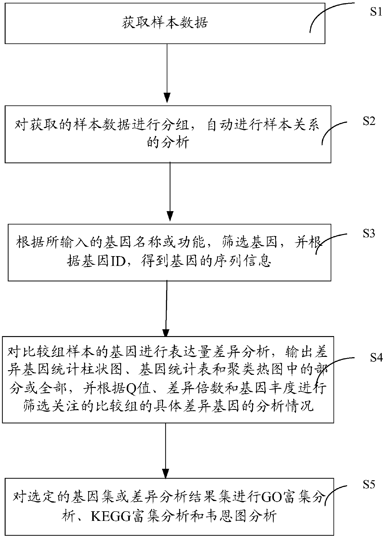 RNA-seq online analysis report system and generation method thereof