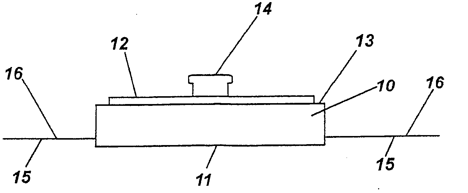 Electrode and electrode positioning arrangement for abdominal fetal electrocardiogram detection