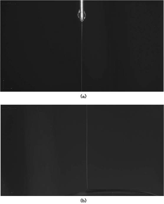 Preparation method of sensor through electric field regulation and control