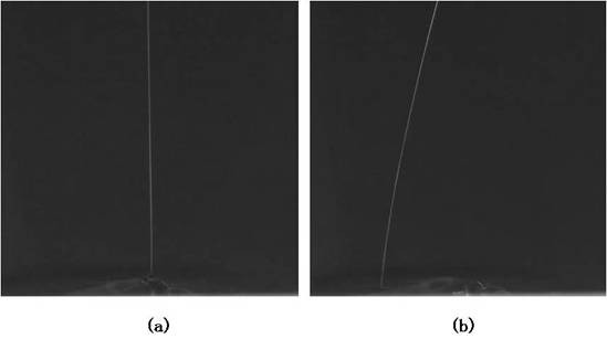 Preparation method of sensor through electric field regulation and control