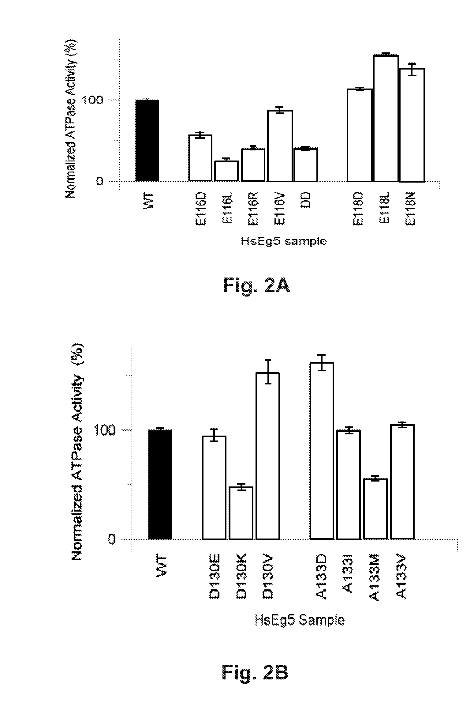 Protein Structural Biomarkers to Guide Targeted Chemotherapies