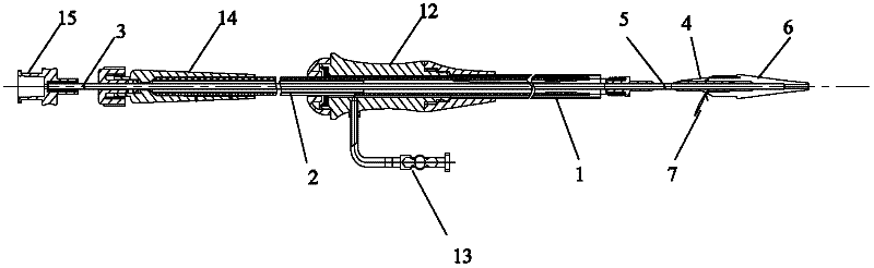 Delivery and release system of covered stent