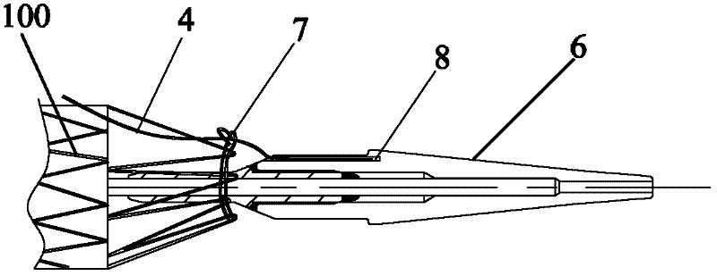 Delivery and release system of covered stent