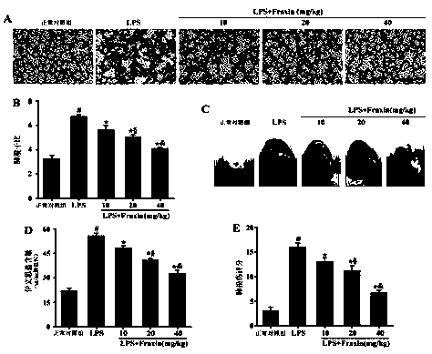 Application of fraxin in preparation of drugs for preventing or treating acute respiratory distress syndrome