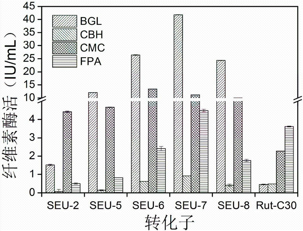 Trichoderma reesei genetically engineered bacterium for producing cellulase in high yield under induction of soluble and non-soluble carbon sources as well as construction method and application