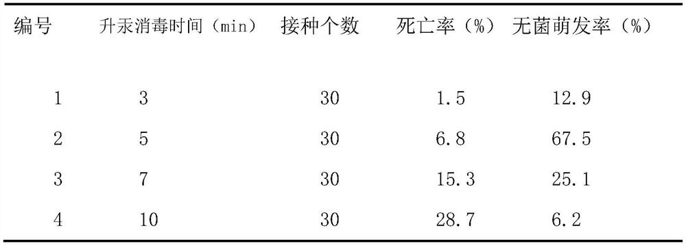 Tissue culture method of wild sambucus williamsii