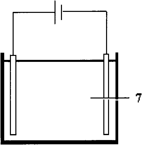 Method for clearing away aflatoxin from crop seeds by utilizing acid electrolyzed functional water