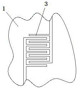 Transparent interdigital electrode for photoelectrocatalysis and processing method thereof