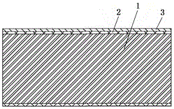 Transparent interdigital electrode for photoelectrocatalysis and processing method thereof