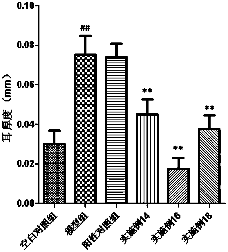 Horse oil cream and preparation method and applications thereof