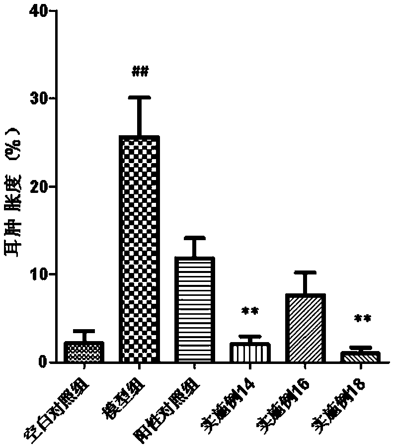 Horse oil cream and preparation method and applications thereof