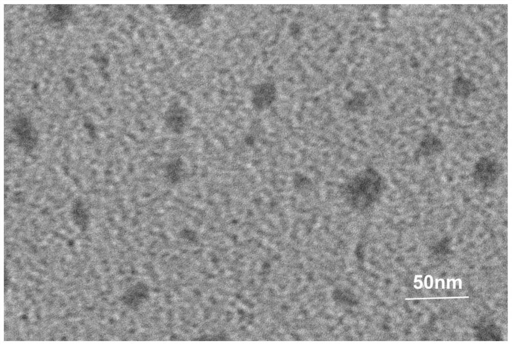 Purpose of DNA tetrahedron in preparation of medicine capable of treating renal injury