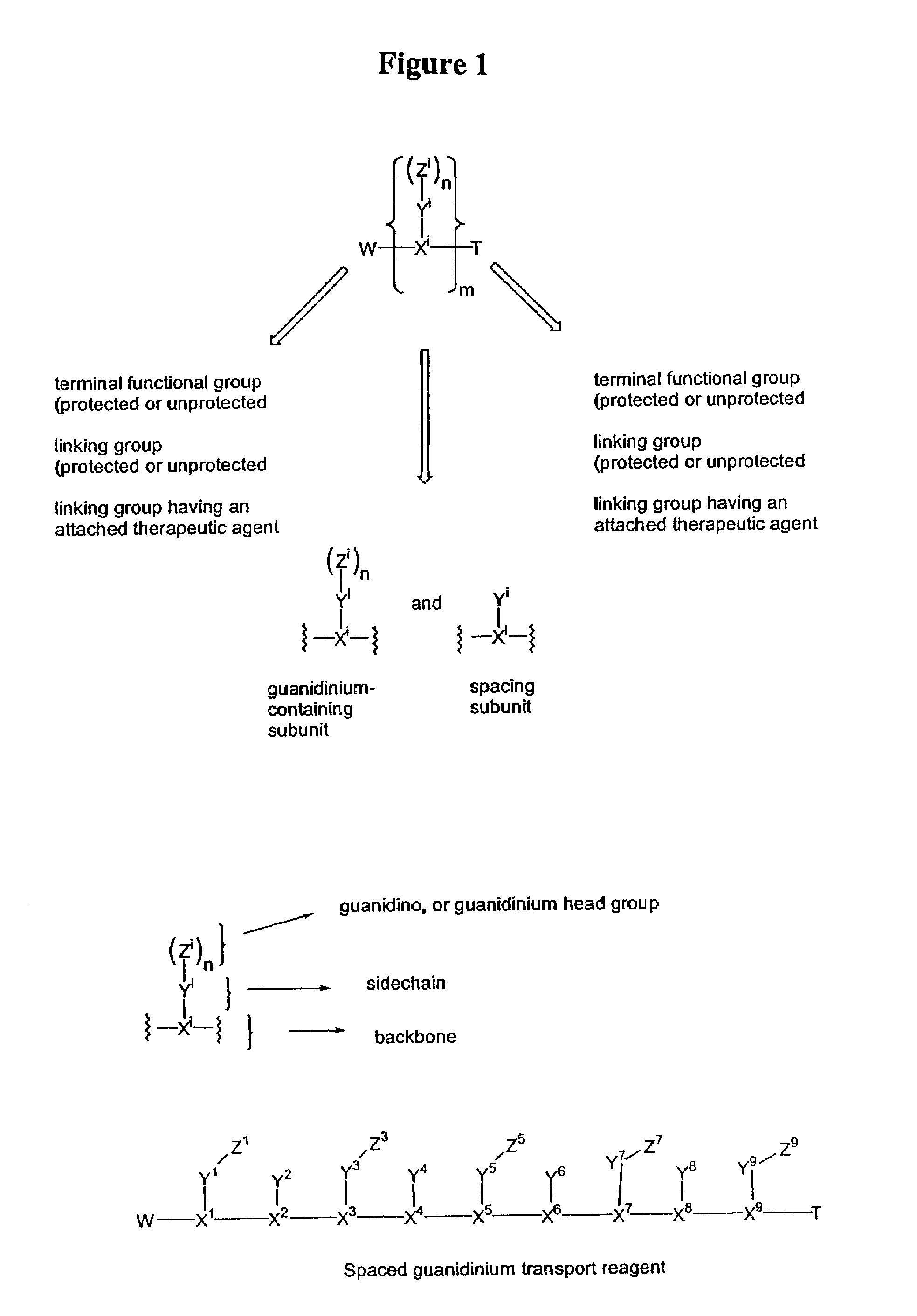 Guanidinium transport reagents and conjugates