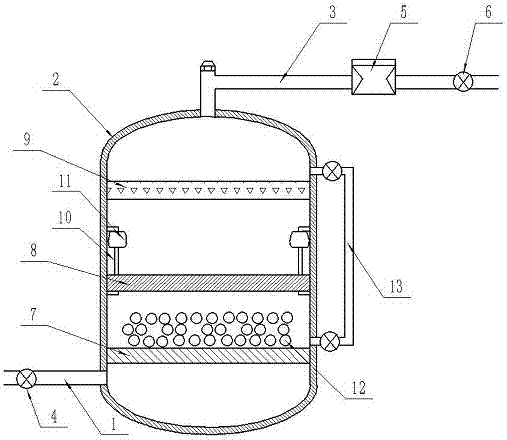 Domestic direct-drinking device