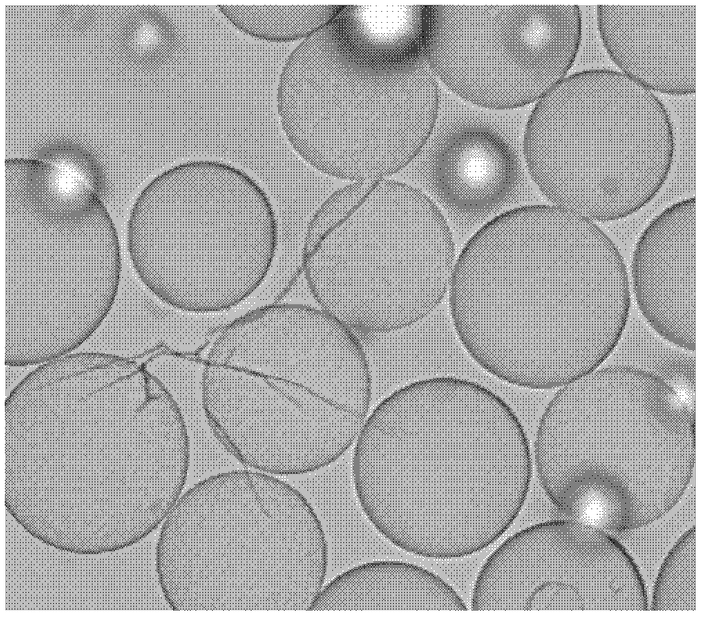 Recovery processing method for increasing reuse times of ultra-microcarrier