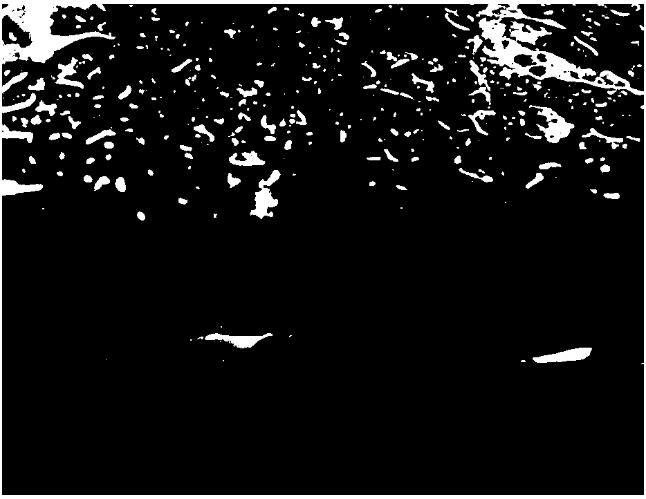 Preparation method of microvascular self-repairing coating layer