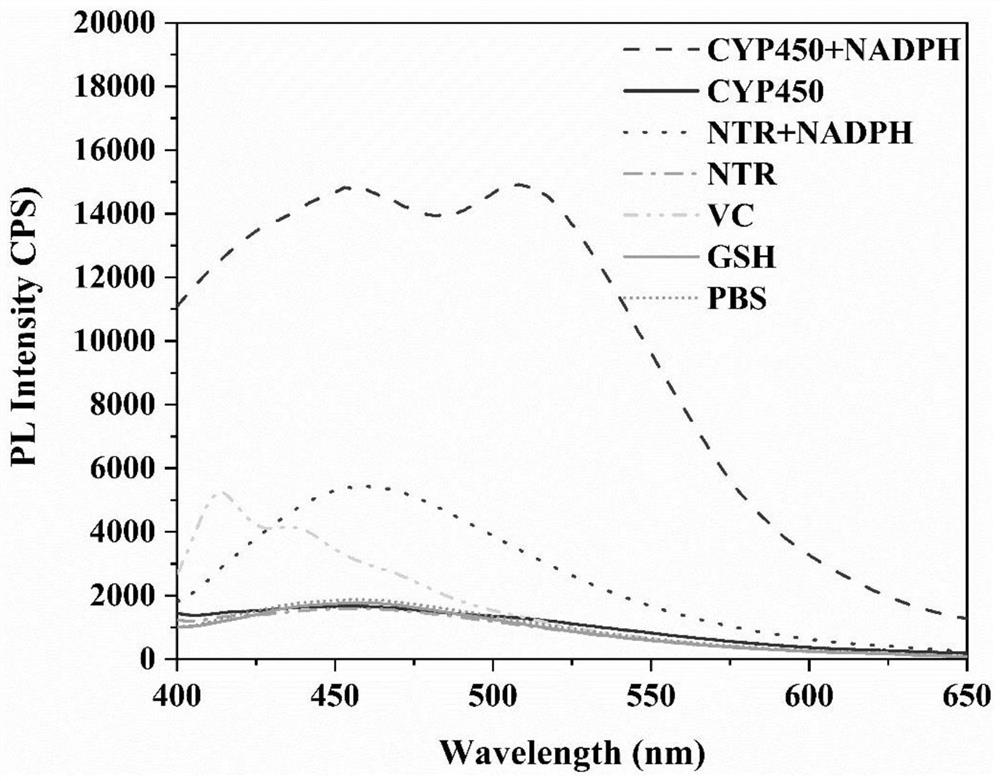 Nanoprobe for detecting hypoxic cells and preparation method and uses of nanoprobe