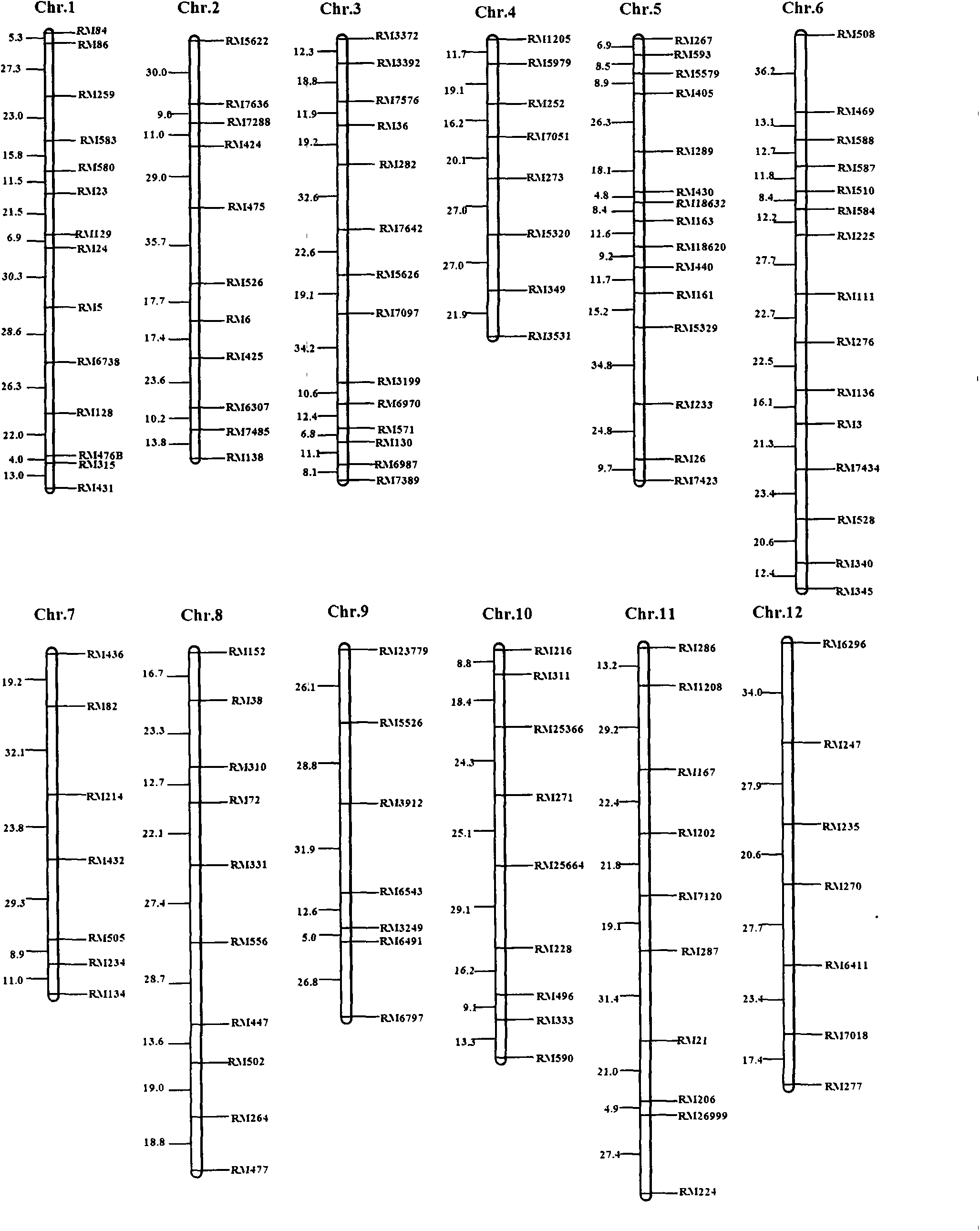 SSR (simple sequence repeat) markers, linked with Aphelenchoides besseyi Christie resistant QTL (quantitative trait locus), on chromosome 3 and application thereof