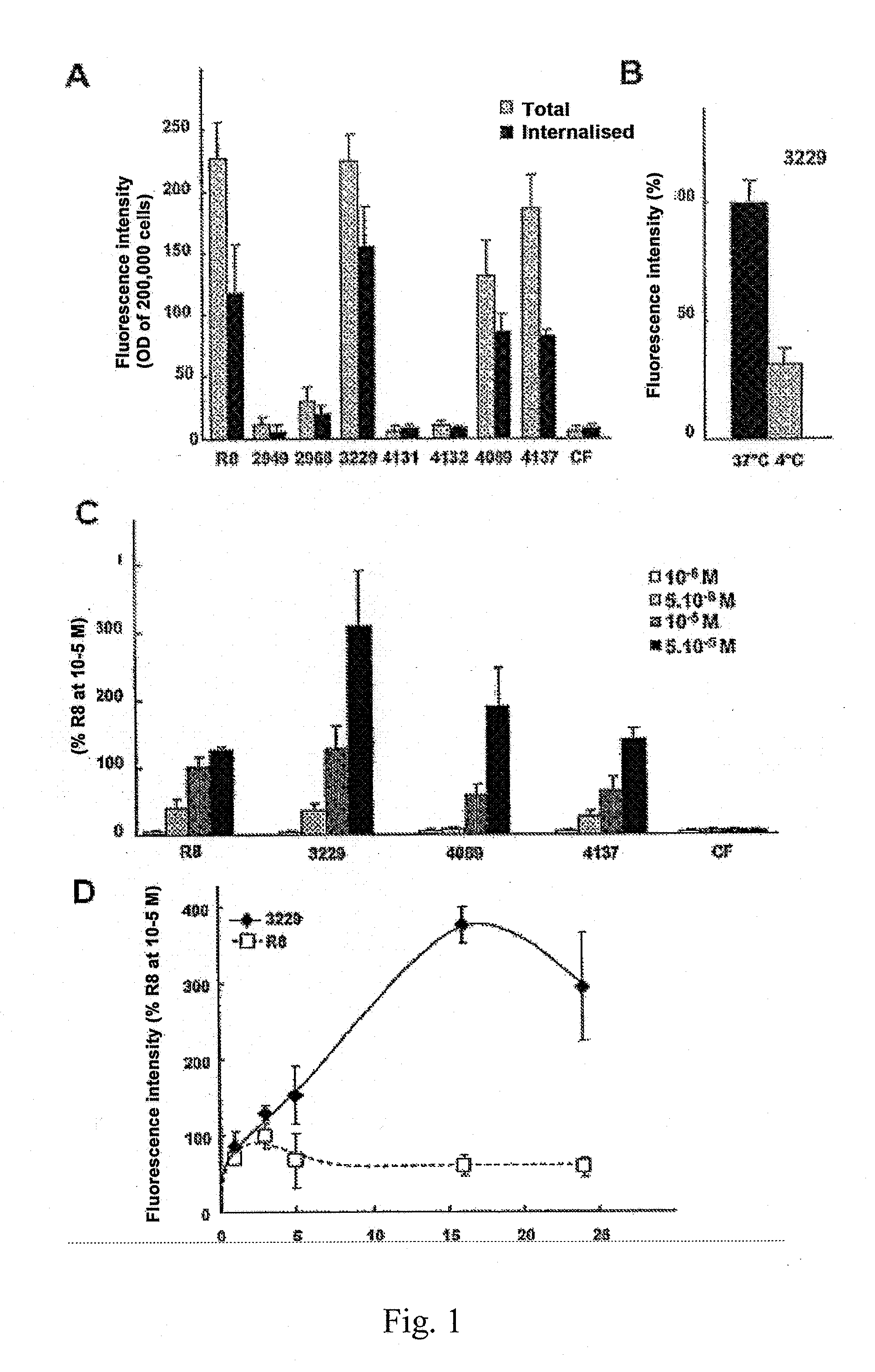 Use of constrained dipeptide and tripeptide mimic oligomers as vectorization agents