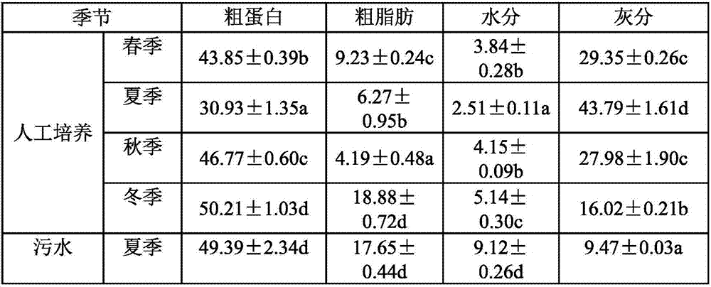 Macrobrachium rosenbergii compound feed using daphnia magna dry powder for partially replacing fish meal