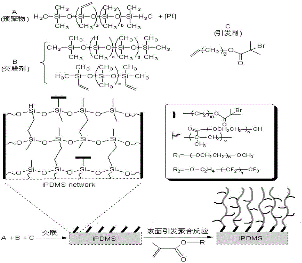 Polypeptide and detection device and detection kit containing polypeptide