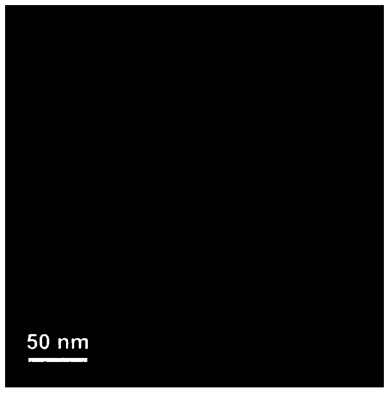 Peptylated phospholipid-carrier micellar polypeptide vaccine