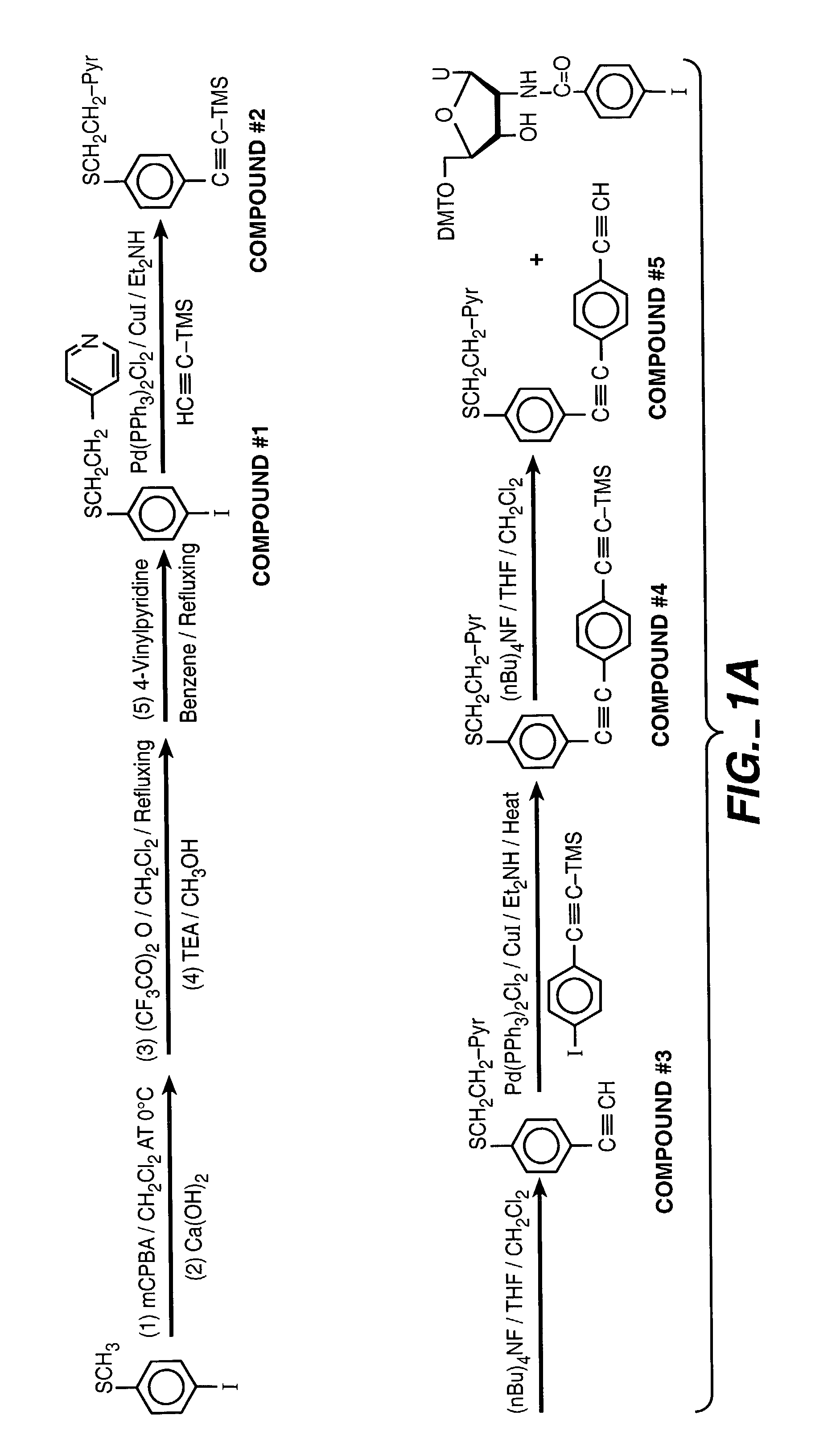 Electrodes linked via conductive oligomers to nucleic acids