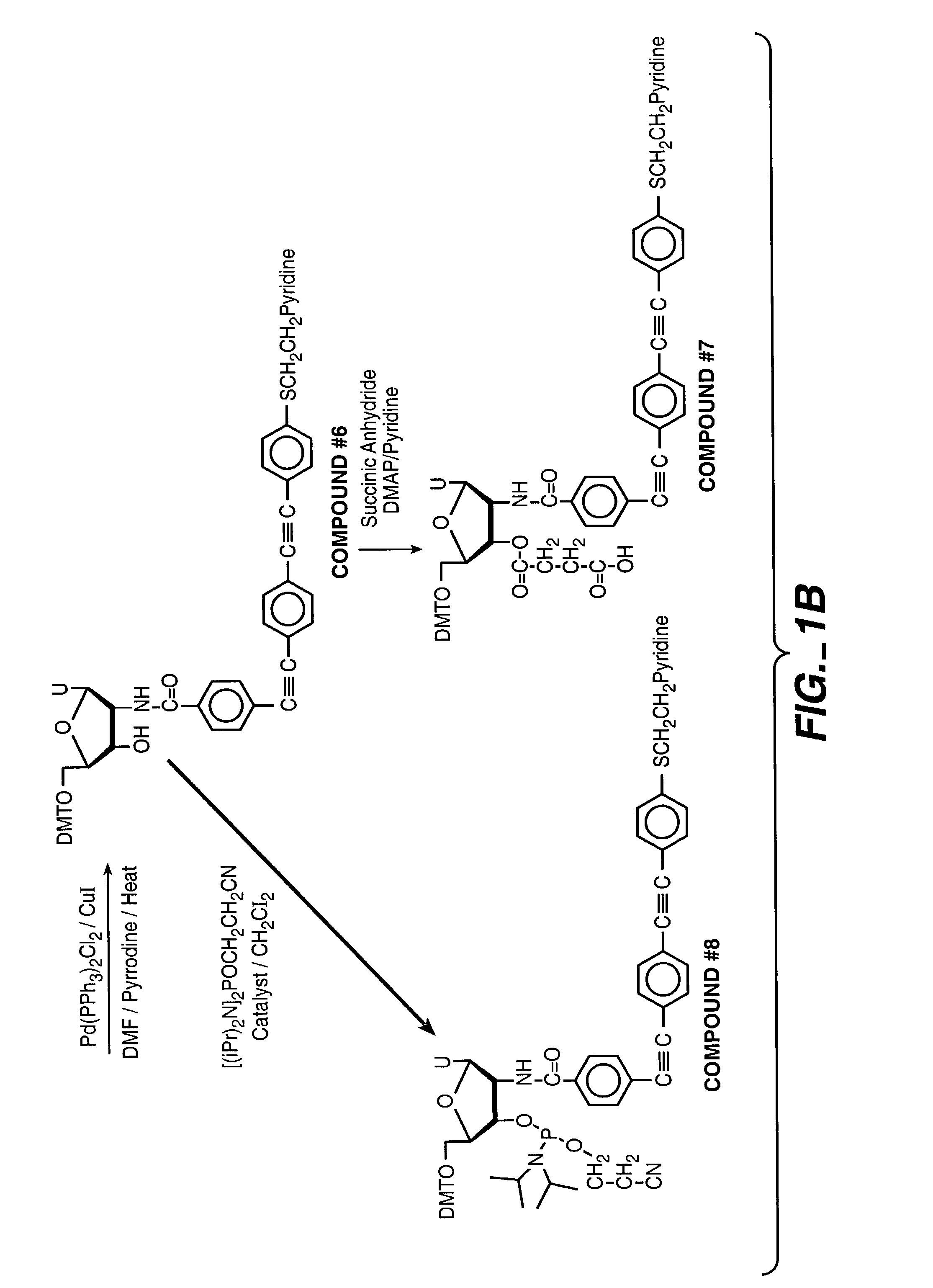 Electrodes linked via conductive oligomers to nucleic acids