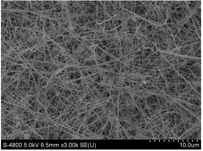 Method for preparing Zn-doped p-type beta-Ga2O3 nanowire according to chemical vapor deposition method