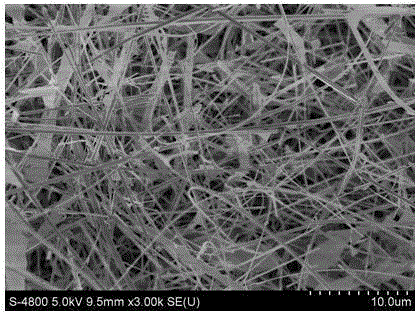 Method for preparing Zn-doped p-type beta-Ga2O3 nanowire according to chemical vapor deposition method