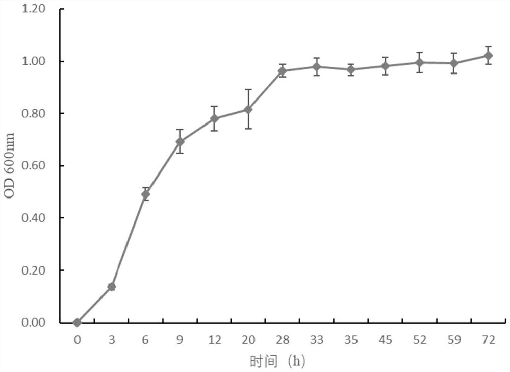 Salt-tolerant saccharomycetes for increasing content of pyrazine compounds in soy sauce and application of salt-tolerant saccharomycetes