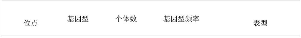 SNP site related to stress resistance of lateolabrax japonicus and application of SNP site