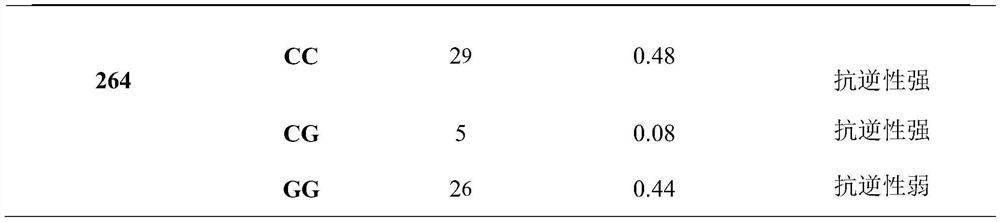 SNP site related to stress resistance of lateolabrax japonicus and application of SNP site