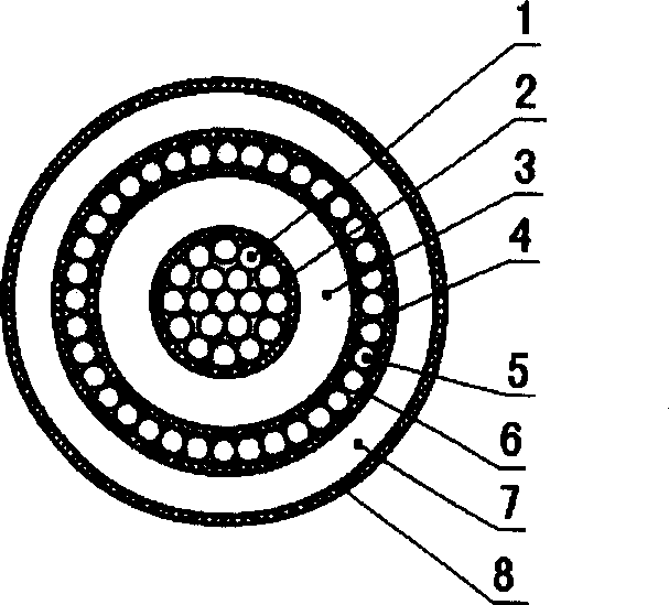 Transformer and reactor with coiled core and the making process