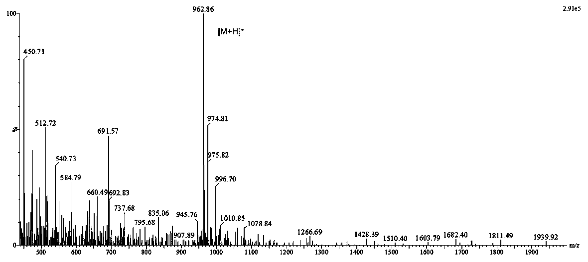 Dendritic cell targeted affinity peptide TY peptide and application thereof