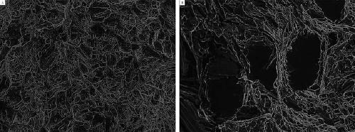 Preparation method of high-performance conductive nano ceramic metal clad coating on pure copper surface