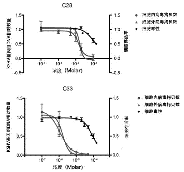 Application of benzo Alpha-pyrone compound as Gamma-type human herpes virus-resistant medicine