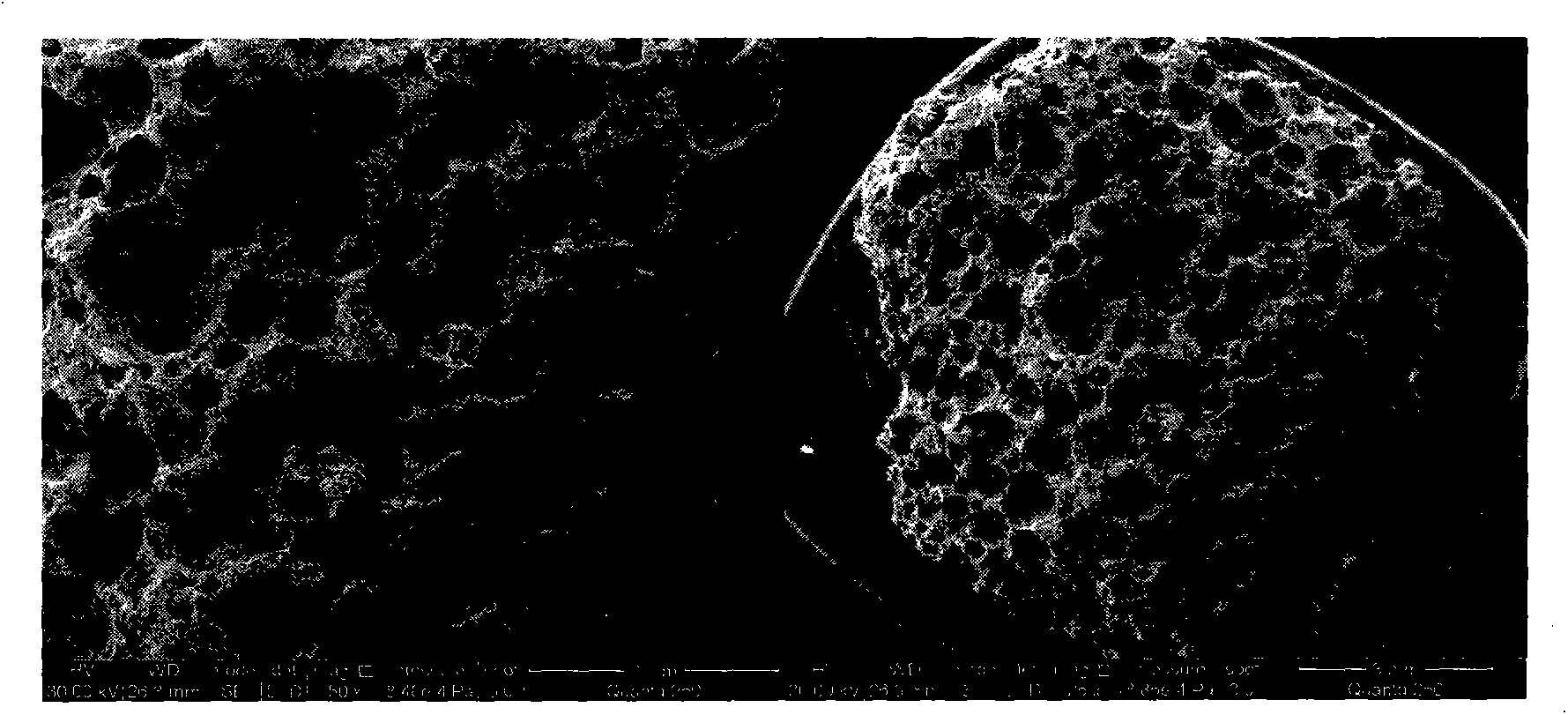 Pulverized fuel ash-cement foam material for controlling spontaneous combustion of coal and preparation method of pulverized fuel ash-cement foam material