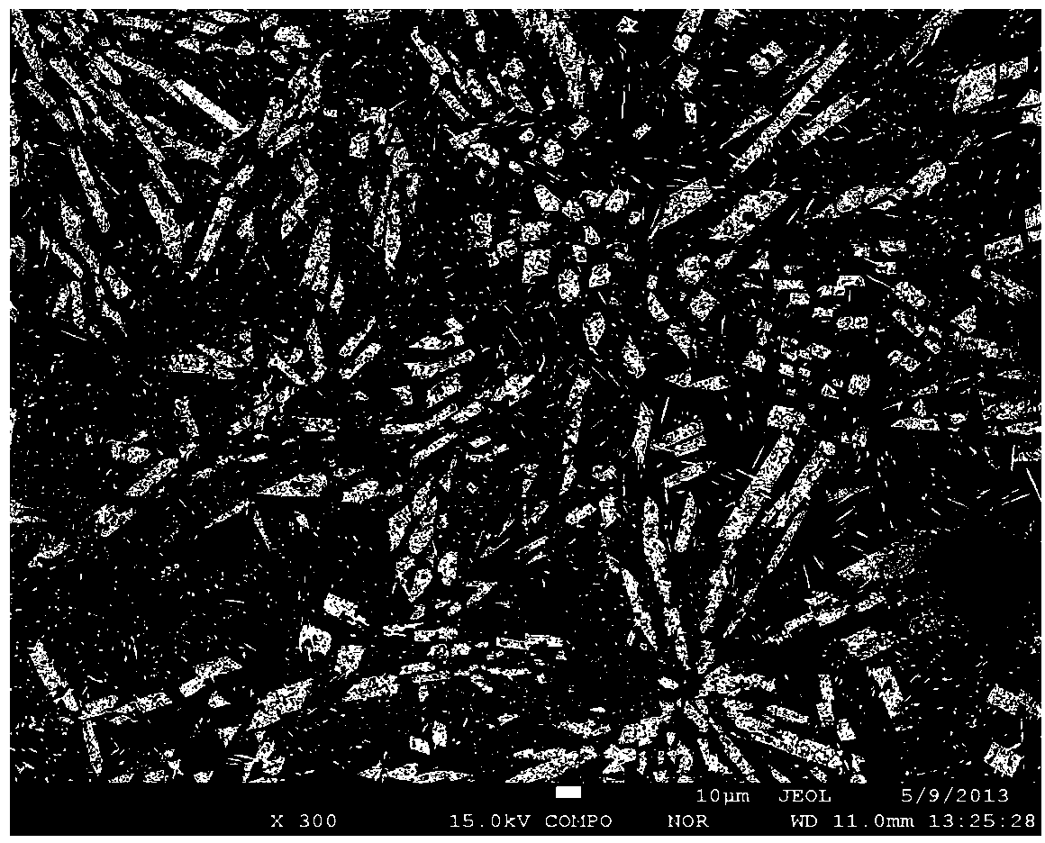 Wollastonite-apatite frit compounded medical glass ceramic and preparation method thereof