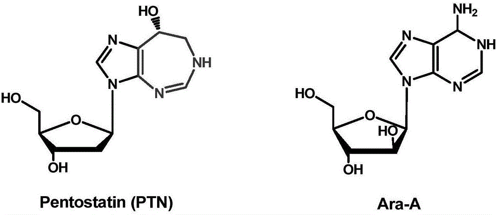 Biosynthetic gene cluster of pentostatin and arabinofuranosyladenine and application of biosynthetic gene cluster