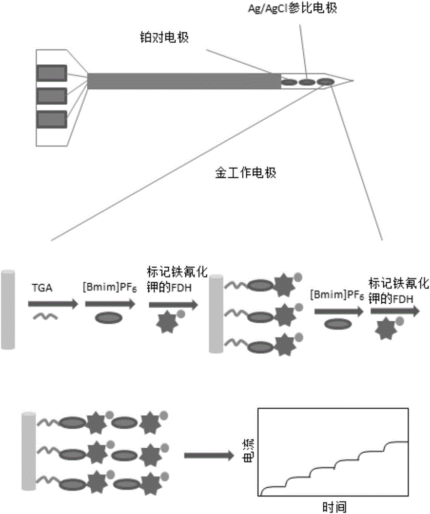 A microelectrode biosensor for in-situ real-time monitoring of the fructose content of a plant and applications thereof