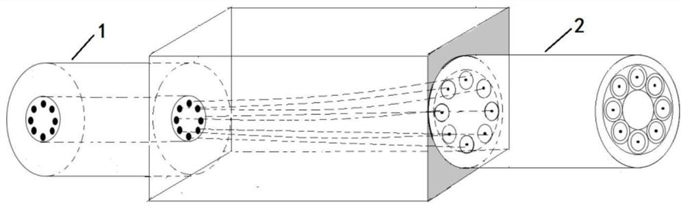 Multi-core optical fiber coupler based on three-dimensional waveguide and preparation method