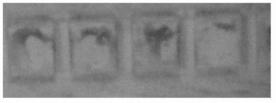 Tasteless double-functional material for cleaning and lubricating semiconductor packaging mold